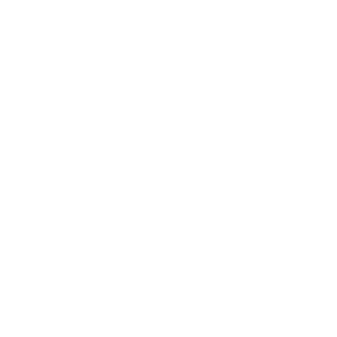 call Icon